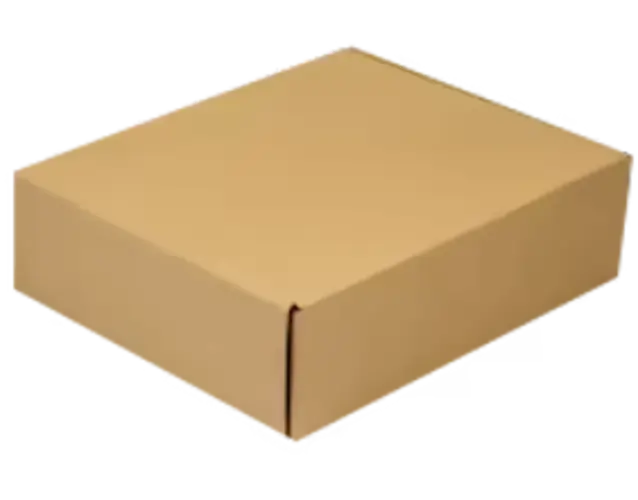 Pad húmedo x 20