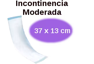 Nonisec incontinencia moderada